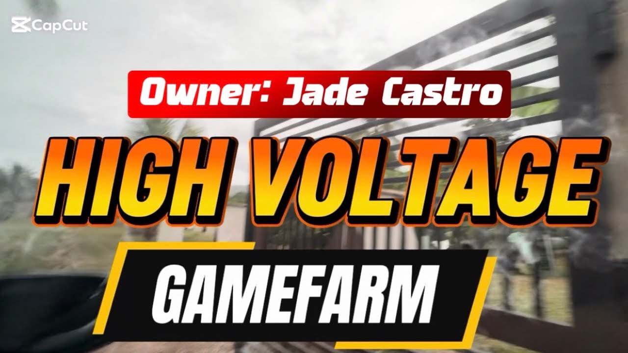 2nd Visit of High Volltage Gamefarm