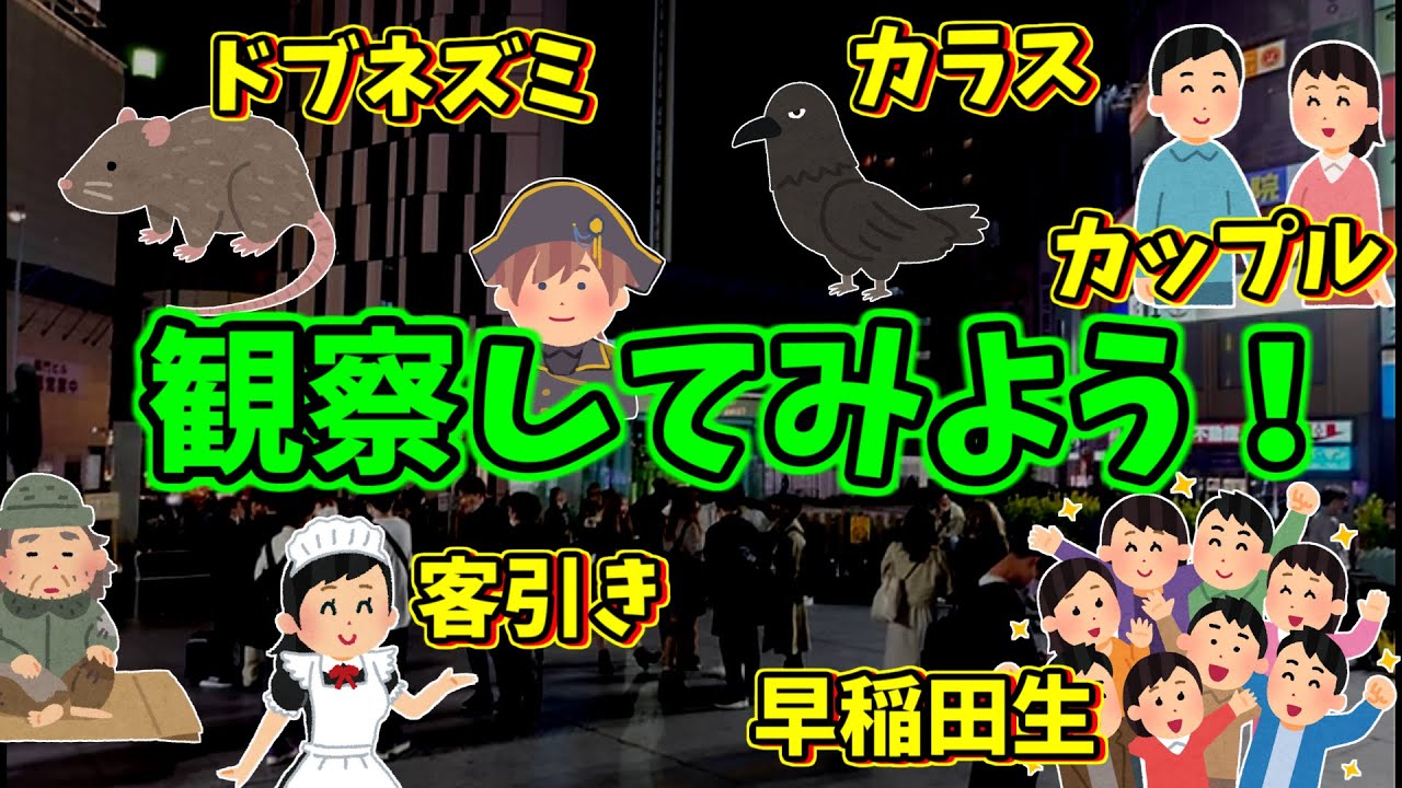 早稲田・高田馬場のいきものたち【観察日記】