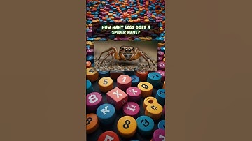 IF YOU ANSWER ALL THE QUESTIONS YOU BELONG TO THE 1 PERCENT OF PEOPLE ON THE PLANET