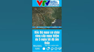 Bắc Bộ nguy cơ cháy rừng cấp nguy hiểm do 5 ngày tới độ ẩm thấp | VTVWDB