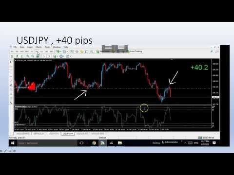 MY FOREX TRADING WEEK: + 357 PIPS in profit