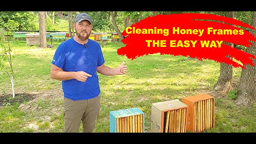 Cleaning Honey Frames THE EASY WAY