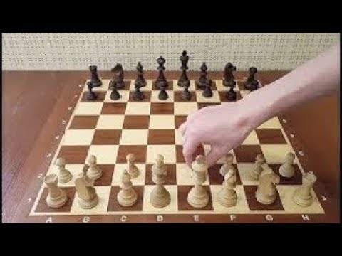 видео: Играй первым ходом Е4 и ставь МАТ за 2 хода  Одна ЛОВУШКА и больше ничего учить не надо! Шахматы  1
