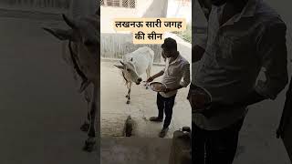 लखनऊ सारी जगह की सीन