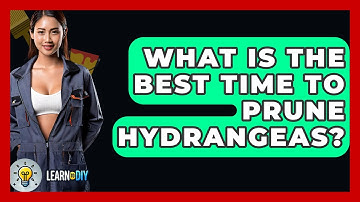 What Is The Best Time To Prune Hydrangeas? - LearnToDIY360.com