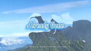 Adem Parah !!! Already Gone| Kreator Project Dedy 1814 Remix|Dj Slow|Nick project Remix.|