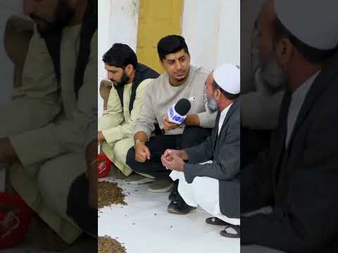 حاصلات جلغوزه سیاه از ولسوالی نجراب