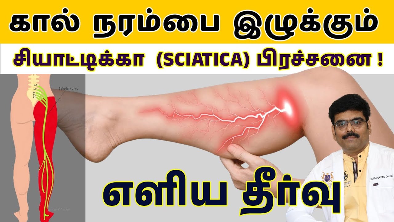 Sciatica Back Pain : கால் நரம்பை இழுக்கும் சியாடிக்கா (Sciatica) பிரச்சனை எளிய தீர்வு! Easy Solution
