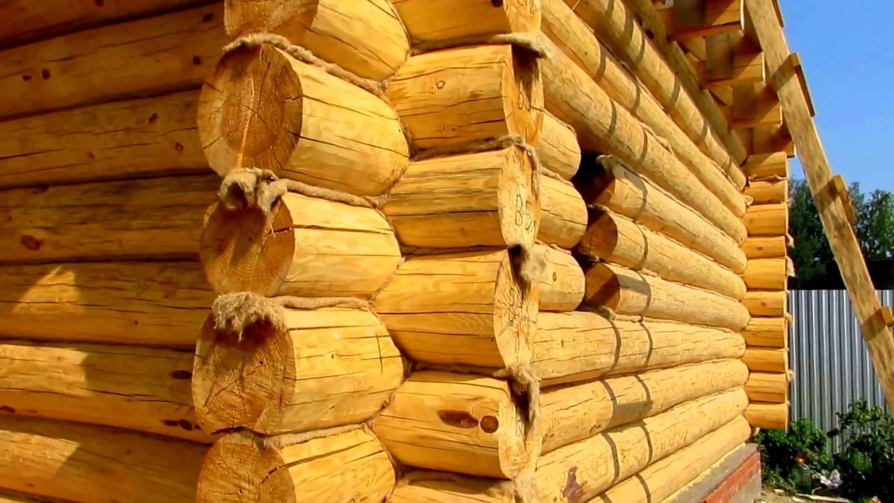 Строим баню из сруба Строим баню из сруба