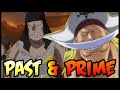 WHITEBEARD: His Past & His Prime!! - One Piece Discussion | Tekking101