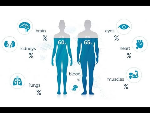 Video: ¿Cuánto nivel de agua hay en el cuerpo humano?