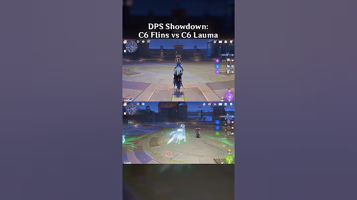 DPS SHOWDOWN: C6 FLINS VS C6 LAUMA