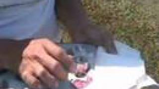 Basic Purple Martin Nest check