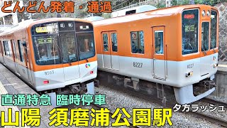 中国 龍泉急須 hq720.jpg?sqp=-