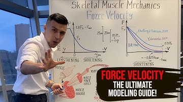 Force Velocity Relationship - The Ultimate Modeling Guide!