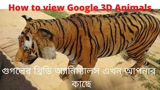 Google AR Tiger 3D Tutorial or Any Animal |  in Bengali 🐅 গুগলের থ্রিডি অ্যানিম্যালস 🦁 screenshot 5