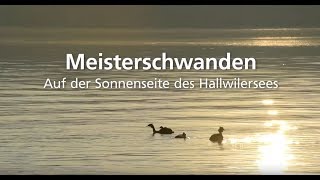 Imagefilm Gemeinde Meisterschwanden
