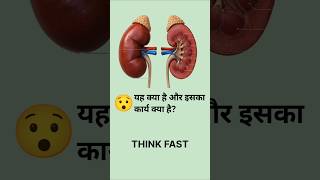 Kidneys🧐#shorts #short #viral #shortvideo #viral #technology