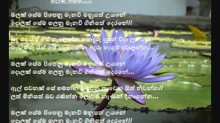 Malak sema pipenu manavi (මලක් සේම...) - Akalanka Serasinghe