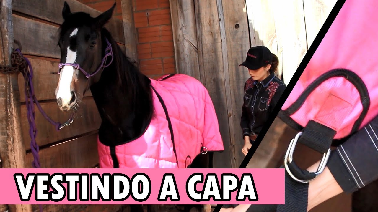 Como VESTIR A CAPA do cavalo ?!