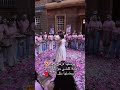 المعنى الحقيقة الجملة رح افرشلا الأرض ورود روز سنابات روز علاء سناب روز علاء سناب روز علاء