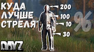 Как увеличить урон по игрокам DAYZ