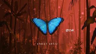 BUTTERFLY - Afrotrap Type Beat | Afro Trap Instrumental | Summer Rap Beat