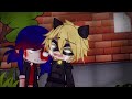 NO NO NO NO!!||Meme||Miraculous ladybug||Au||Gacha club||Ib:@May_are_my_tv