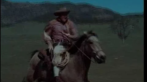 CBS TRIBUTE TO JAMES ARNESS