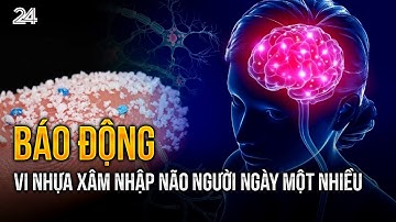 Báo động vi nhựa xâm nhập não người ngày một nhiều | VTV24