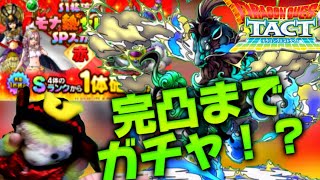 【ドラクエタクト】完凸目指して黒竜丸ガチャ！ん？モナ熱ガチャ⁇