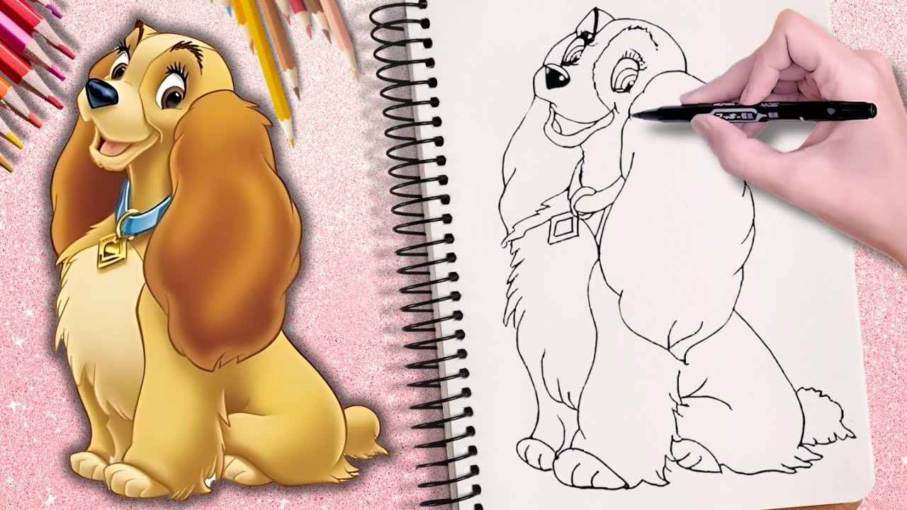 🧡 Como desenhar a "LADY" do filme "A DAMA E O VAGABUNDO"