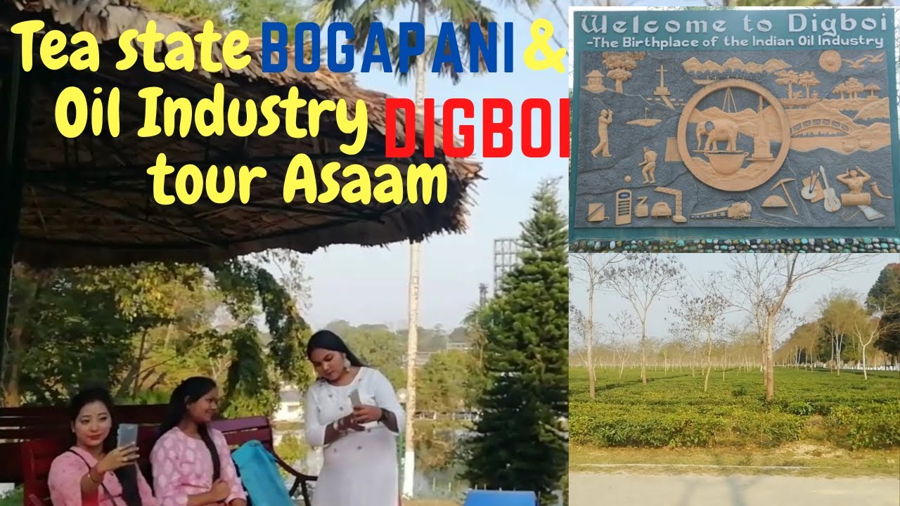 Oil Industry Digboi / Tea estate Bogapani /Assam Tour /