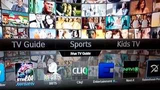 Watching Live TV & Using TV Guide screenshot 4