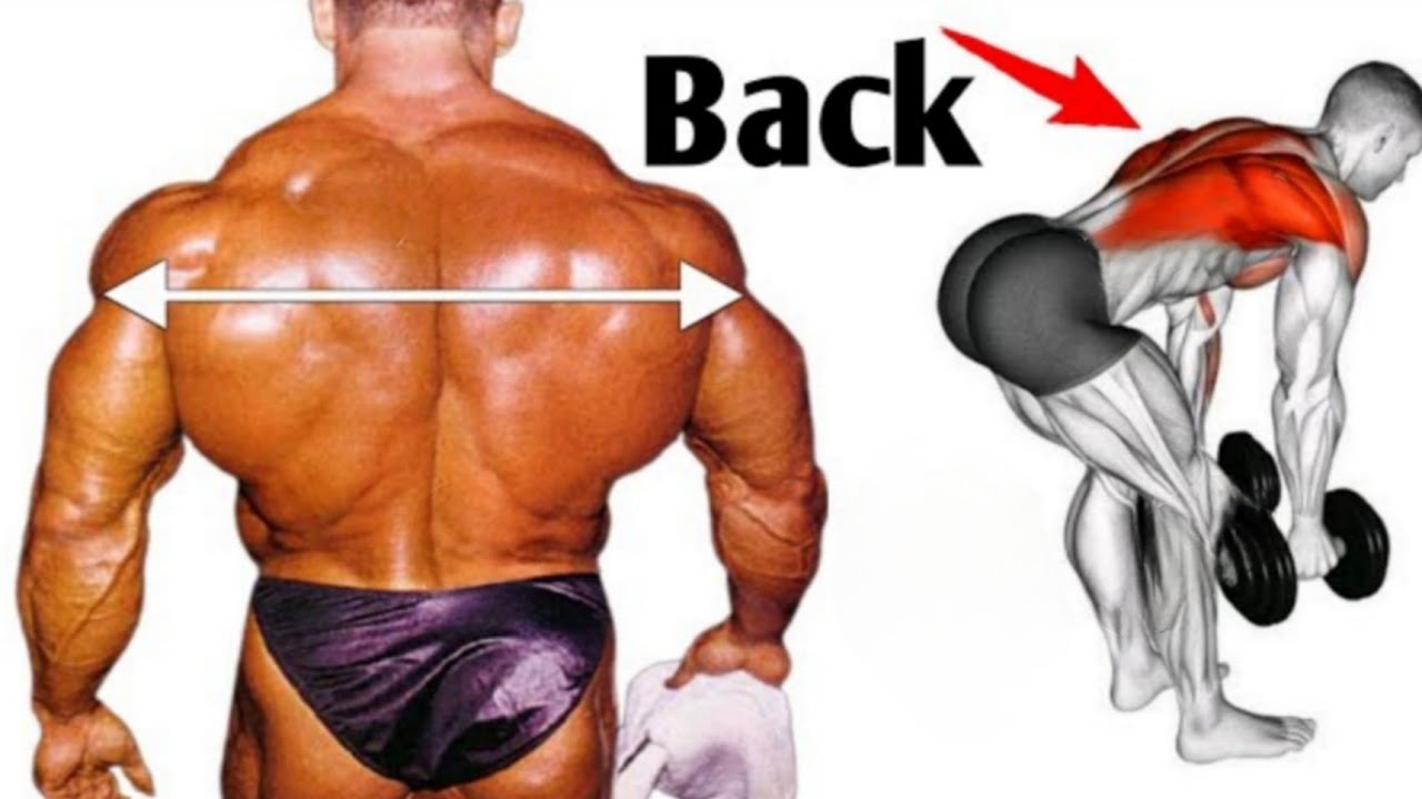 4 Exercises To Build Bigger Back | Transform Yourself - YouTube