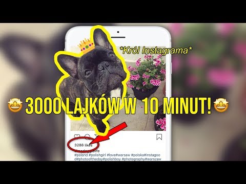 Wideo: Jak Zdobyć Wiele Polubień Na VKontakte