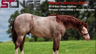 2018 Red Roan Stallion