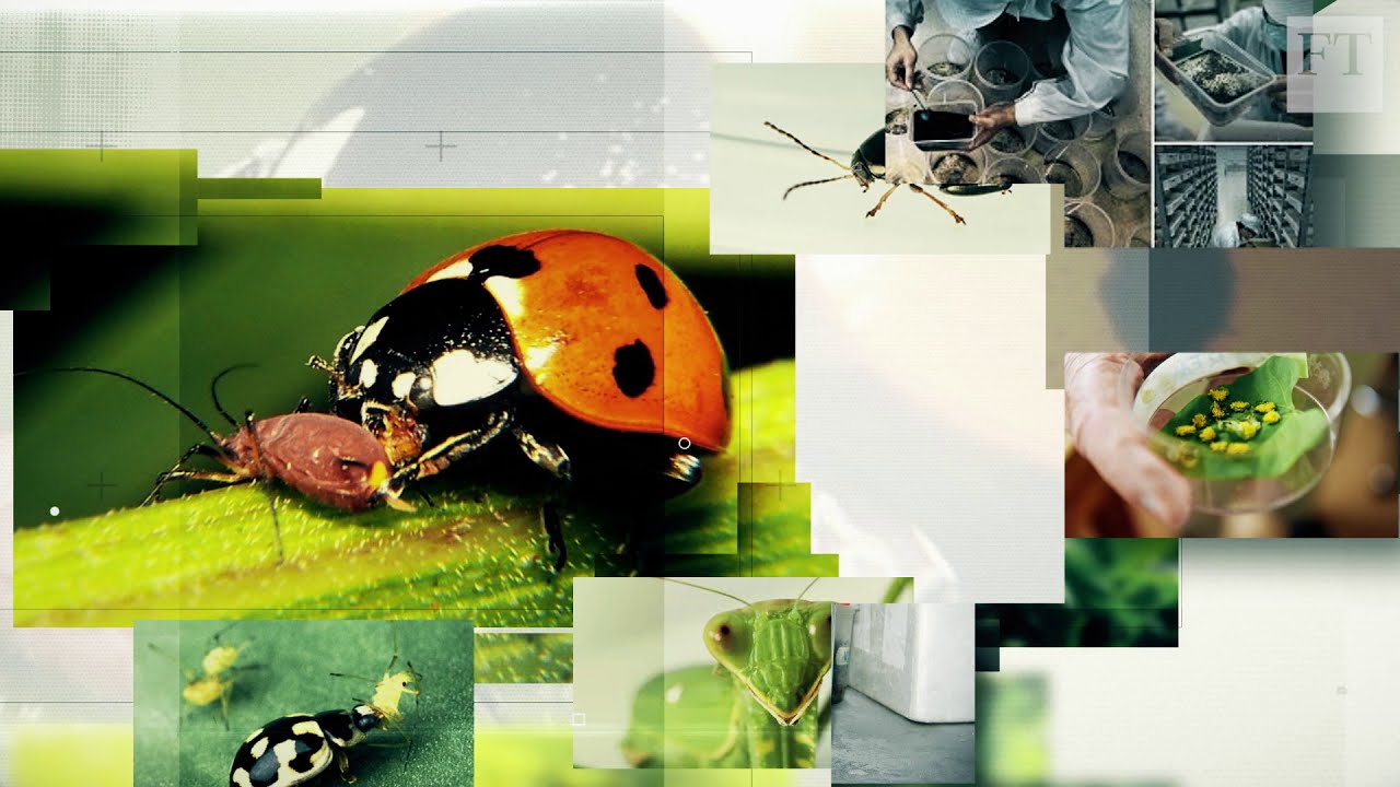 Organic Pest Control Methods