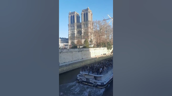 Notre-Dame de Paris ❤️ #shorts