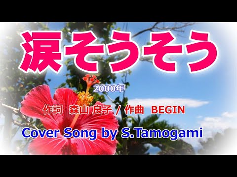 涙そうそう　夏川りみ　＊カバー曲＊　S Tamogami