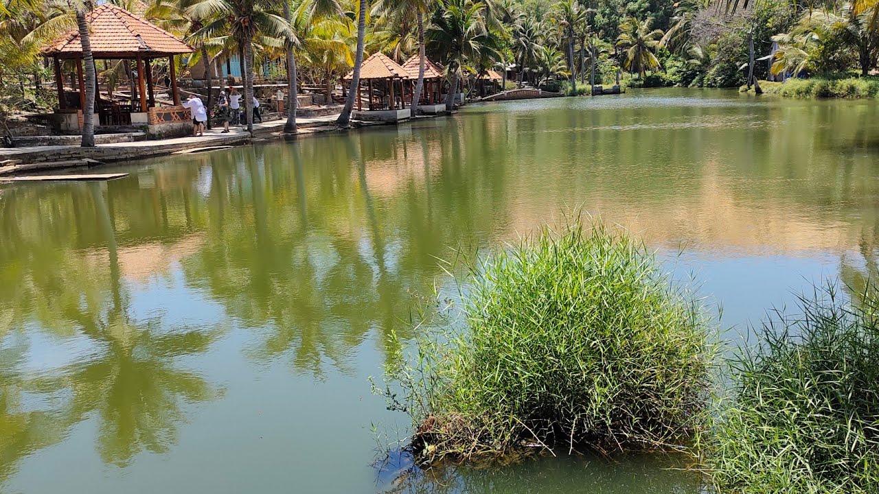 ЭКСКУРСИЯ РЫБАЛКА. МУЙНЕ ВЬЕТНАМ 16.04.2024