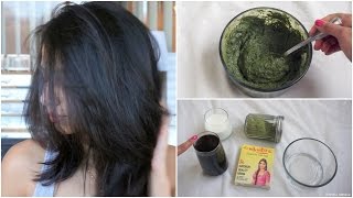 How to Apply Henna to hair at Home!