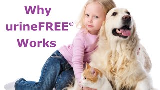 Why urineFREE Works: Removing Urine Odours and Stains screenshot 4