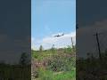 flight landing/indigo #flight #indigo #shorts