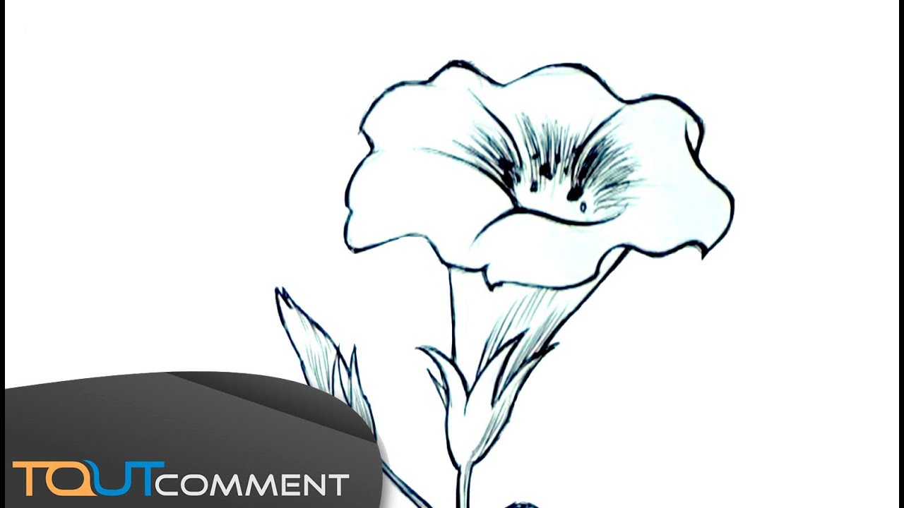 Dessiner Une Fleur Facilement Youtube