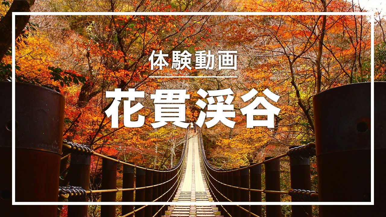 茨城 花貫渓谷で紅葉を体験 縦動画 Youtube