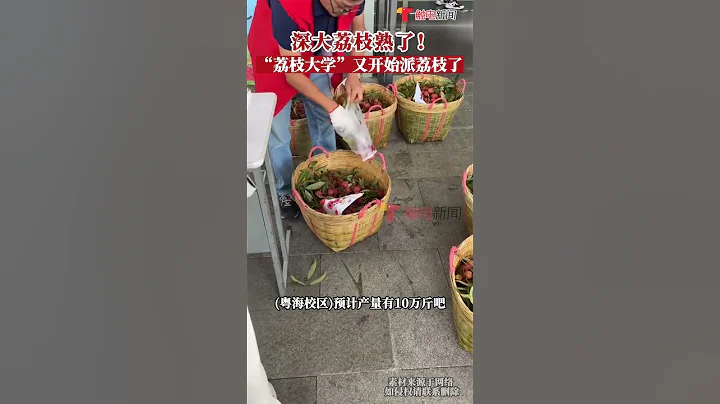 最美味的招生簡章！廣東深圳，#深圳大學 的#荔枝 又熟了，學生：每年六七月採摘荔枝給師生免費品嘗，預計產量有10萬斤，每人可以領5斤。#shorts - 天天要聞