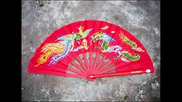 72 THỨC MÚA QUẠT KHÔNG THUA HOÀNG PHI HỒNG. THÁI CỰC ĐƯỜNG LANG QUYỀN DO HLV ĐỖ HỮU KHẢI  BIỂU DIỄN.