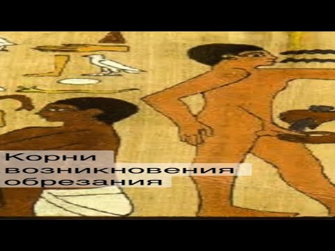 Обрезание крайней плоти в исламе и иудаизме. #shorts