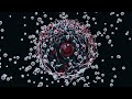 NIH Science in Seconds – Week of June 5, 2023